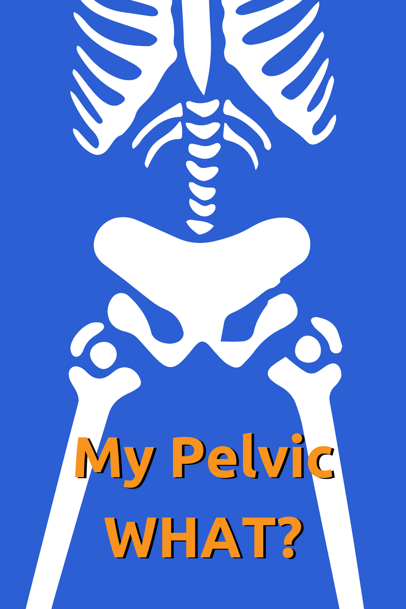 my-pelvic-what-pelvic-floor-explained-pelican-health