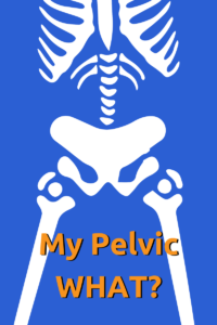 pelvic floor explained